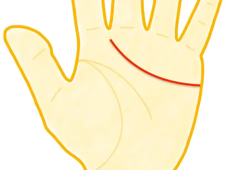 《手相占い》基本線「感情線」の見方①〜感情線の長さが示す愛情の深さ〜《迦葉ルカス》