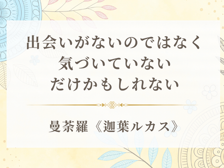 出会いがないのではない、気づいていないだけかもしれない《迦葉ルカス》