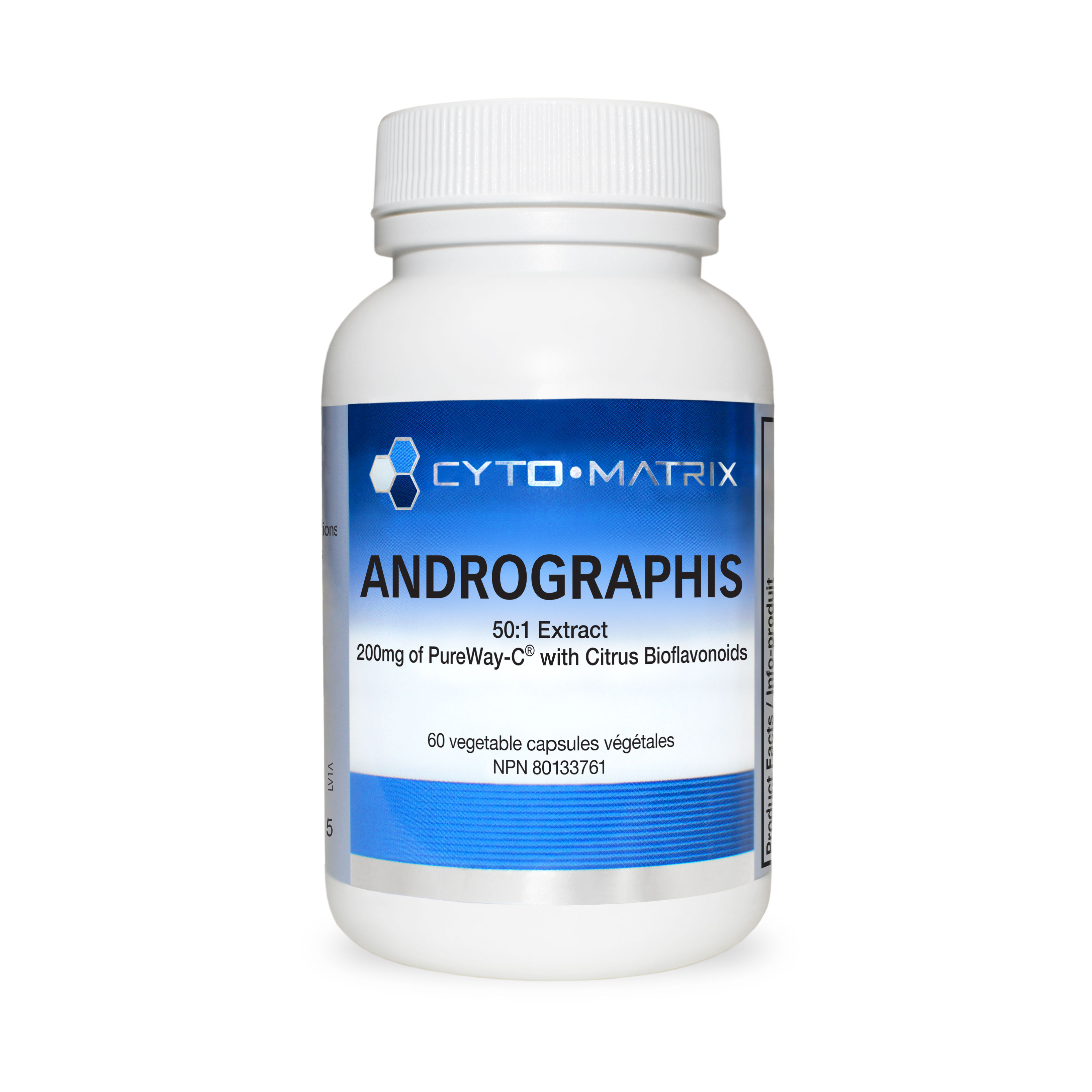 Andrographis