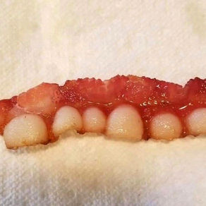 How do we get this tasty teeth bacon?! We want some!