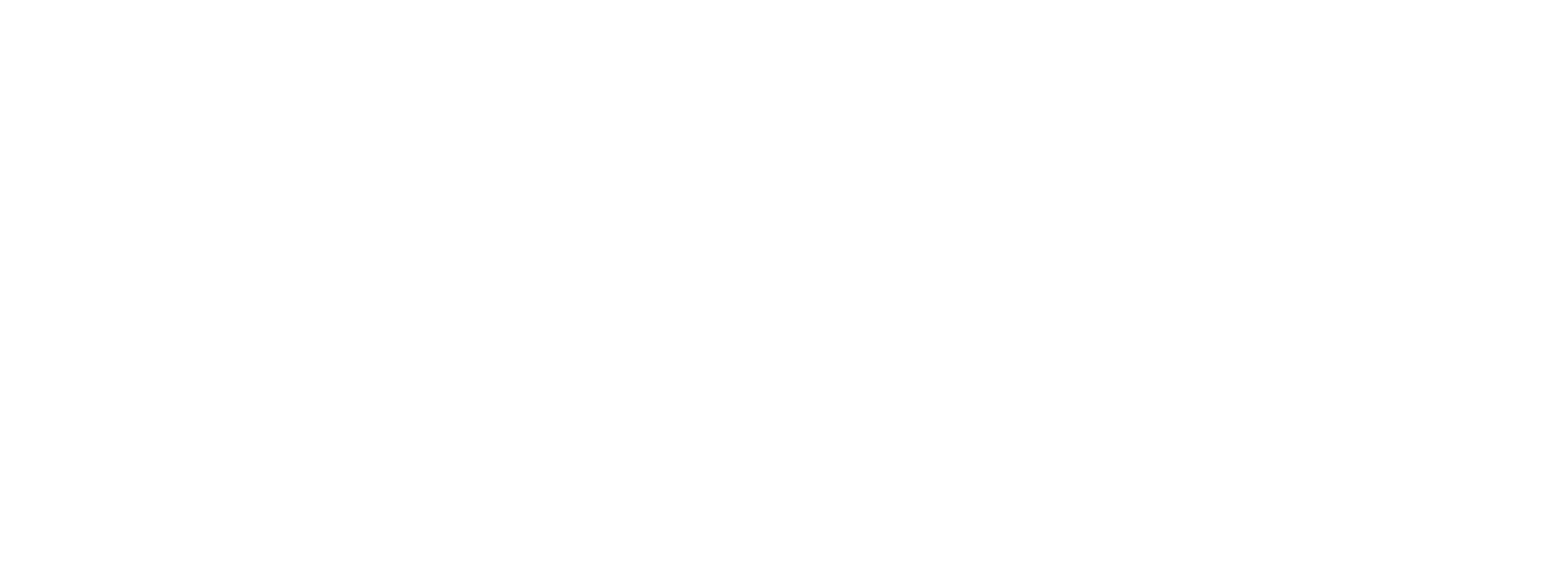 blackfox-03_edited.png
