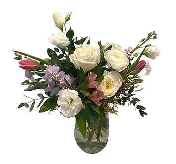 new pics for website (1).png