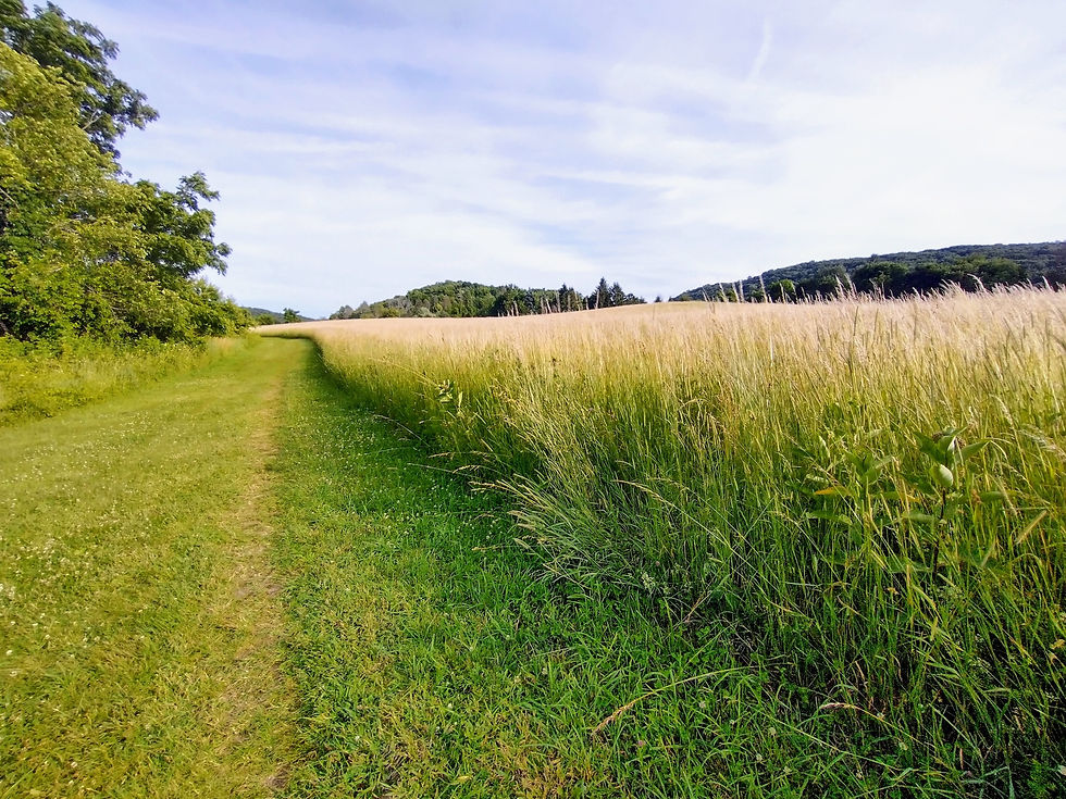 nrvt_danbury_photo_2023_1