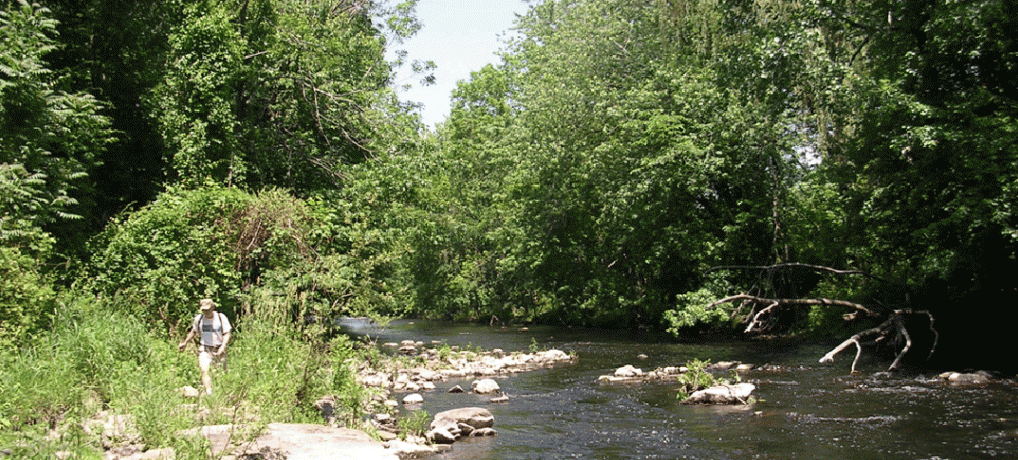 families friends and neighbors enjoying the norwalk river valley trail outdoors