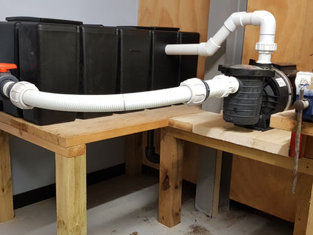 Don't just buy New! Let us overhaul your Filtration Pumps to save £££s!