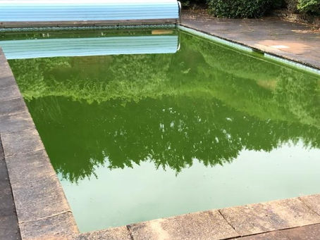 Outdoor Pool Opening