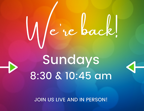 We're Back! (3).png