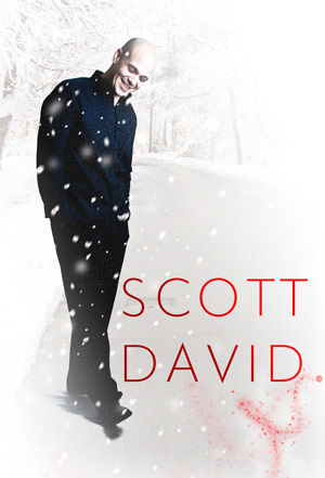 Scott David Christmas snow