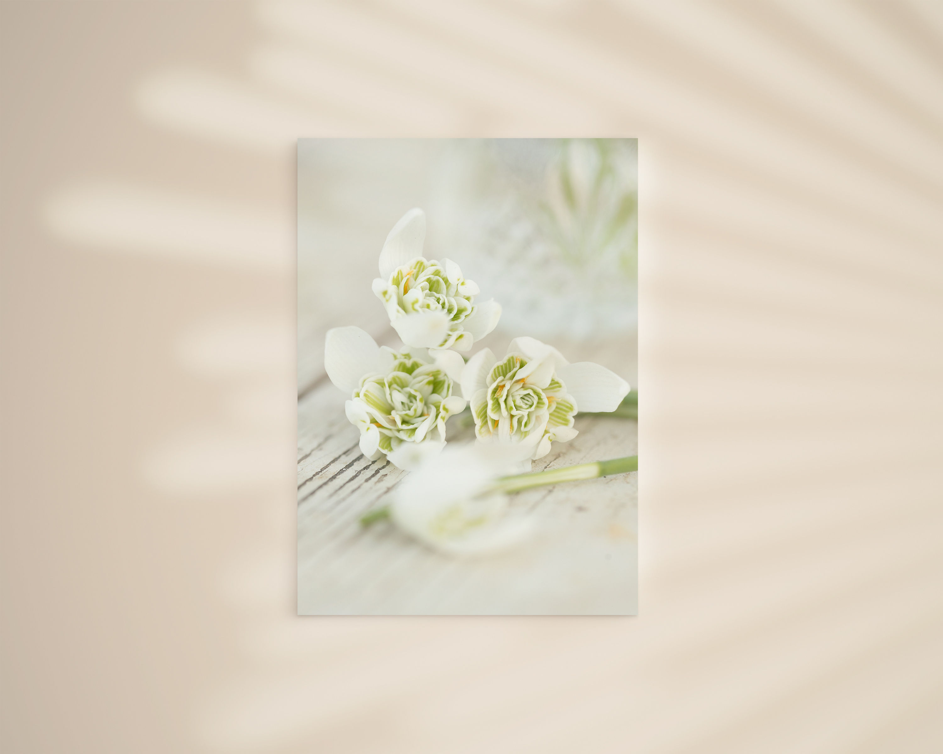 Mini-Karte "Schneeglöckchen II"