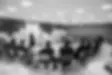 BRU 3346.webp