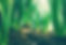 Flower Bulb_edited.jpg