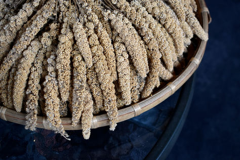 The Role of Millets in Combating Climate Change