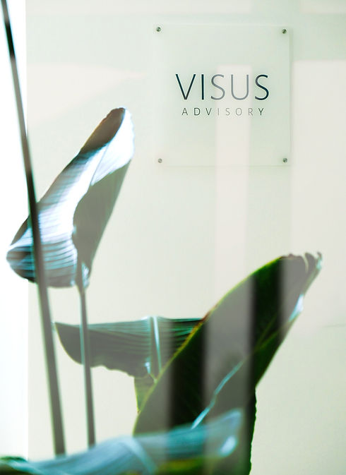 visus_advisory_büro_klein_edited.jpg