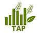 LOGO TAP.jpg