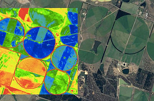 Split+NDVI.jpg