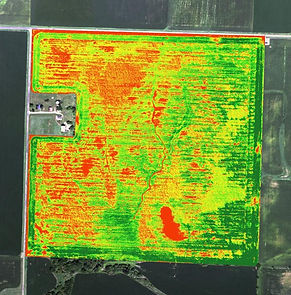 Crop-Health-Image-2.jpg