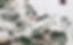 mold_4.jpg