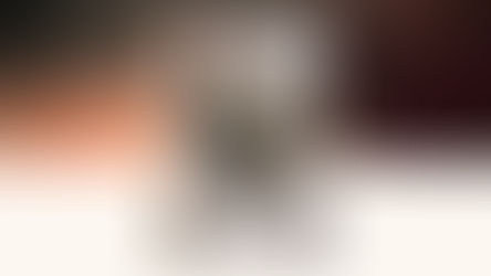 The Lives of Animals