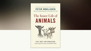 The Inner Life of Animals