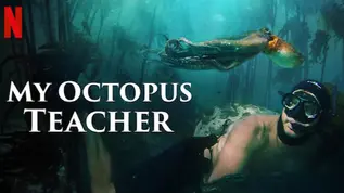 My Octopus Teacher (2020)