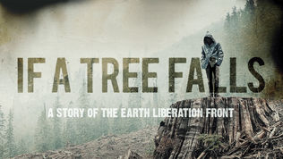 If A Tree Falls (2011)