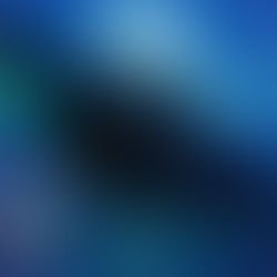 The Ghosts in Our Machine (2013)