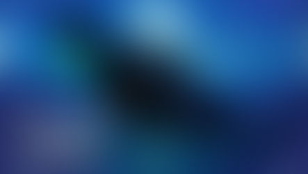 The Ghosts in Our Machine (2013)