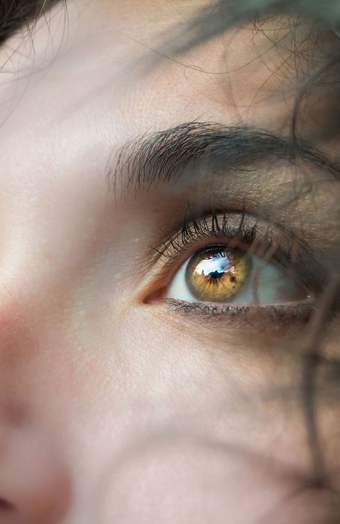 prp in fredericksburg va