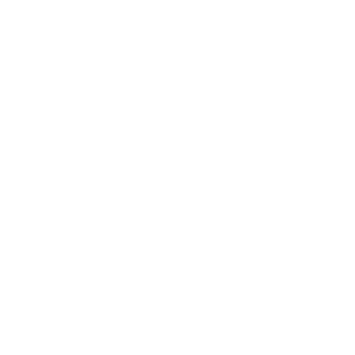 ELITE Aesthetics Mood Board and Concepts (2).png