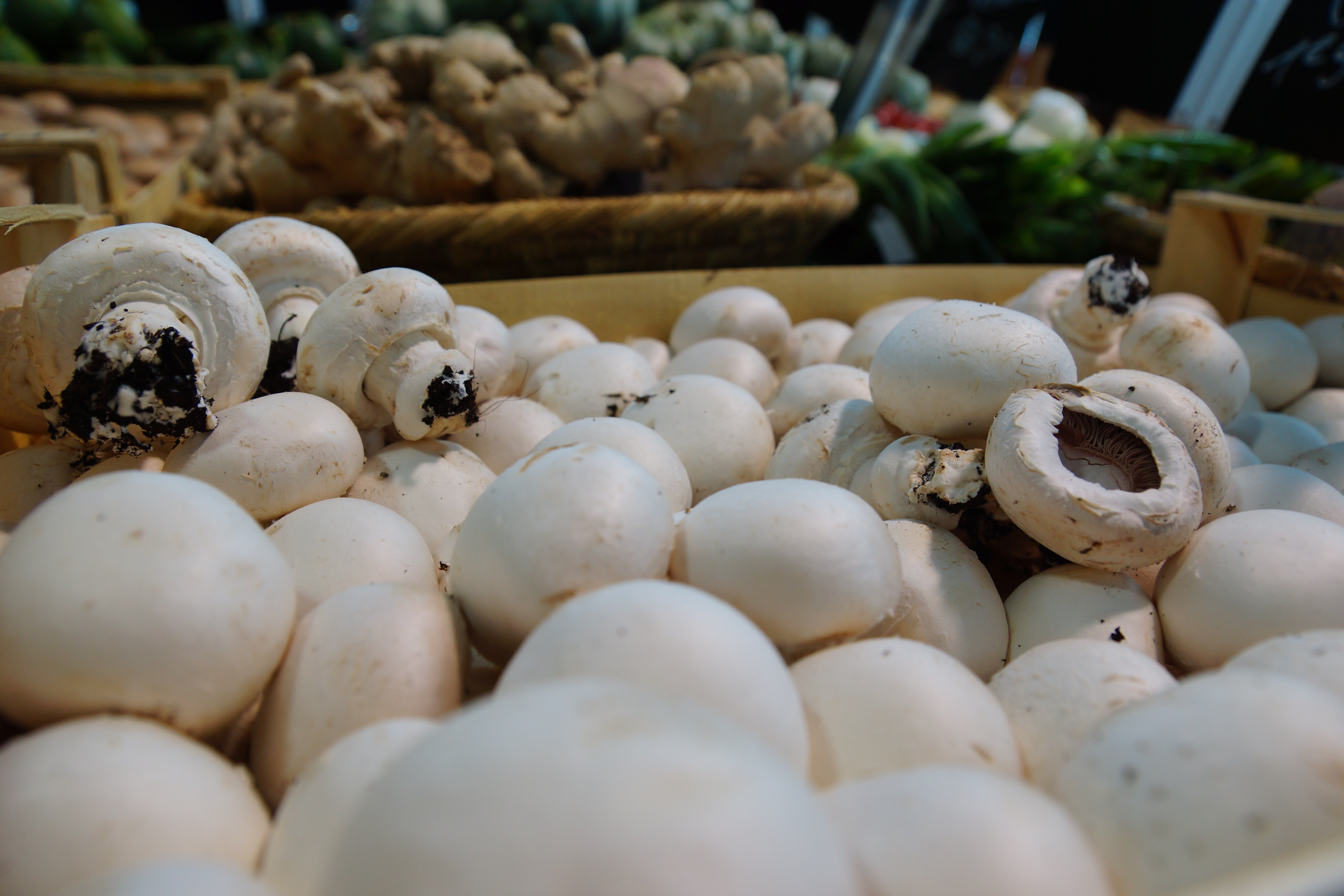 Champignon blanc ou brun