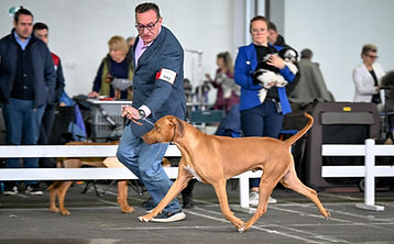 BJELOVAR 2XCAC 2,3.3.2024  (1 of 1)-484-01.jpeg