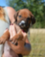 295661612_386680003574298_6925934798294194761_n