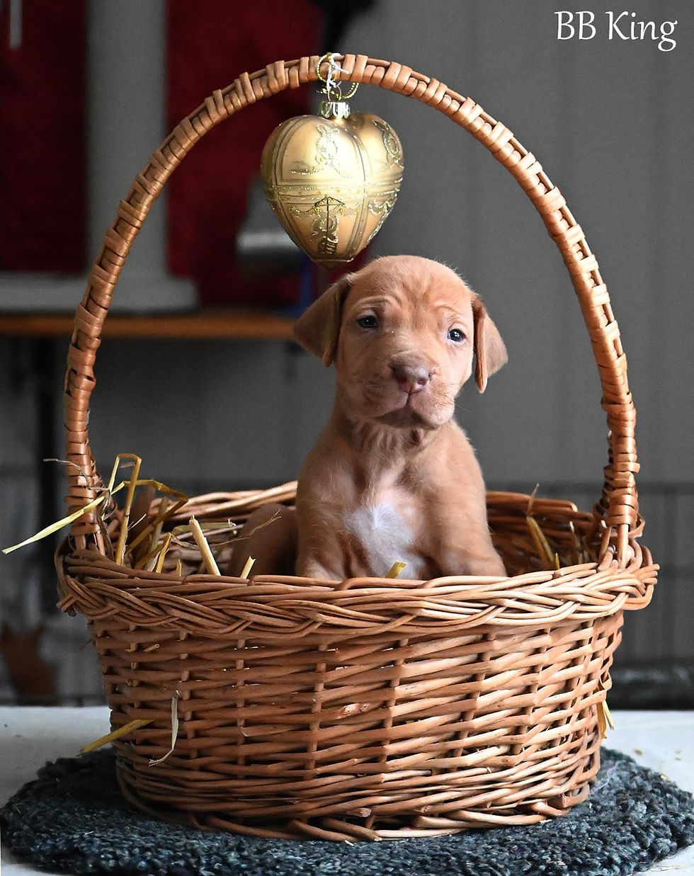 30a93b05-b528-4a9b-8ce9-d6d46c3ade1f