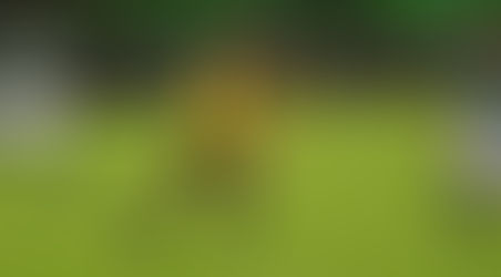 CONOCIENDO A ALEJANDRO DÍAZ (Parte 1)