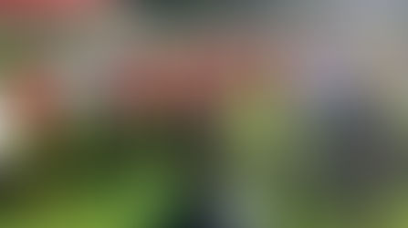 Tri Sub 21 Sostendrá Amistosos Rumbo a Juegos Centroamericanos