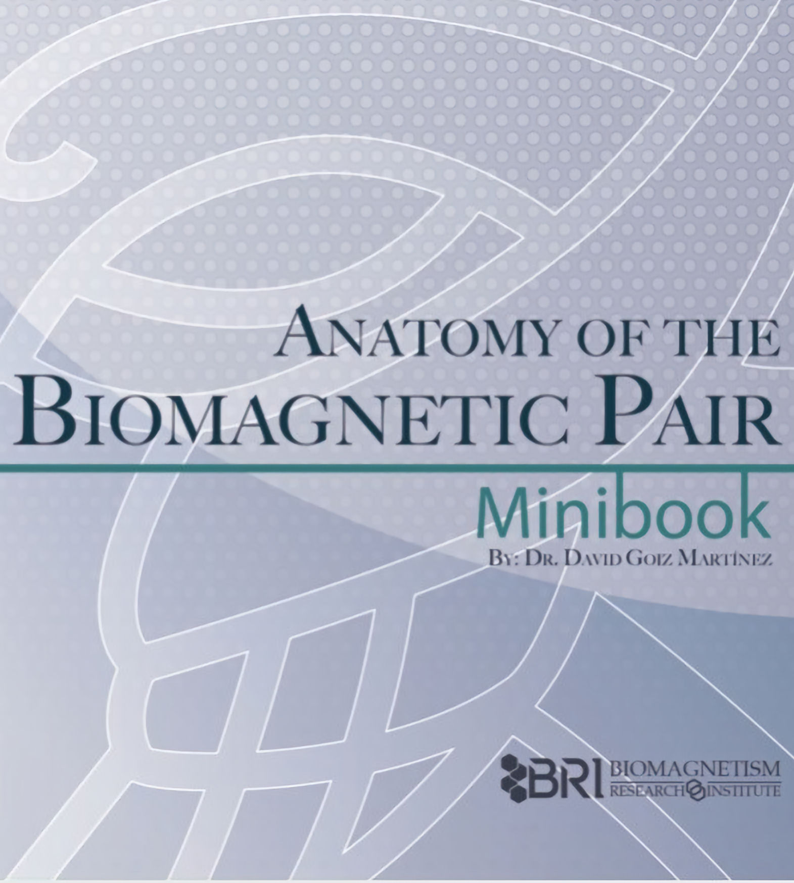 book cover for Anatomy of the Biomagnetic pair