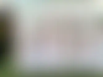 The Iranian womens football team was granted asylum in Australia after being knocked out of the Asian Cup