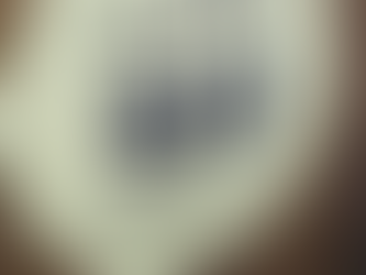 The Middlesex Students' Union logo