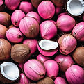 pink coconut.jpg