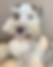 Ruger beige background.png