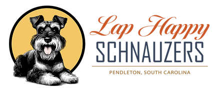 Lap Happy Schnauzers Logo Sample 5 Mustard.Burnt Orange-26.png