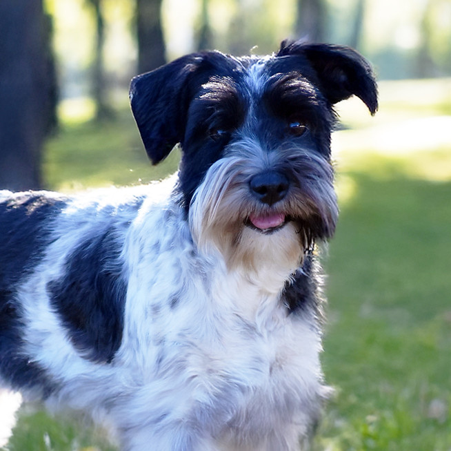 Maggie bright_edited.jpg