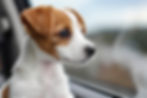 AdobeStock_864313555.jpeg