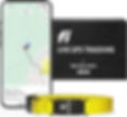 Fi Series 3 Smart Dog Collar 2.jpg