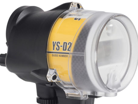 Full Power Only: When Your Strobe Decides It’s Done
