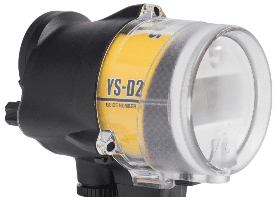 Full Power Only: When Your Strobe Decides It’s Done