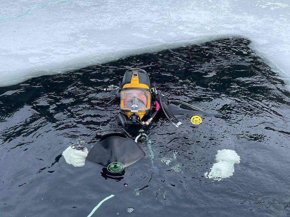 Taking the New Housing Under the Ice: A Cold‑Water Stress Test