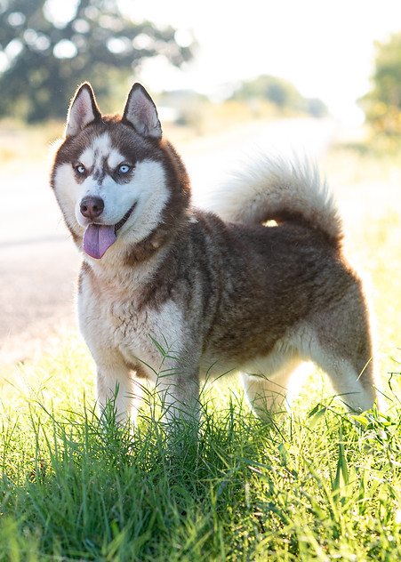 Zeek-108.jpg