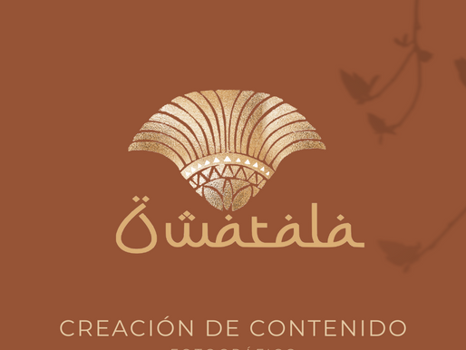 Creación de contenido - Fotografía & Multimedia