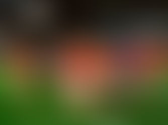 Houston Dynamo FC 2, Chicago Fire FC 1